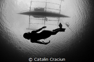 Shot on breath hold (all my photos are shot without using... by Catalin Craciun 
